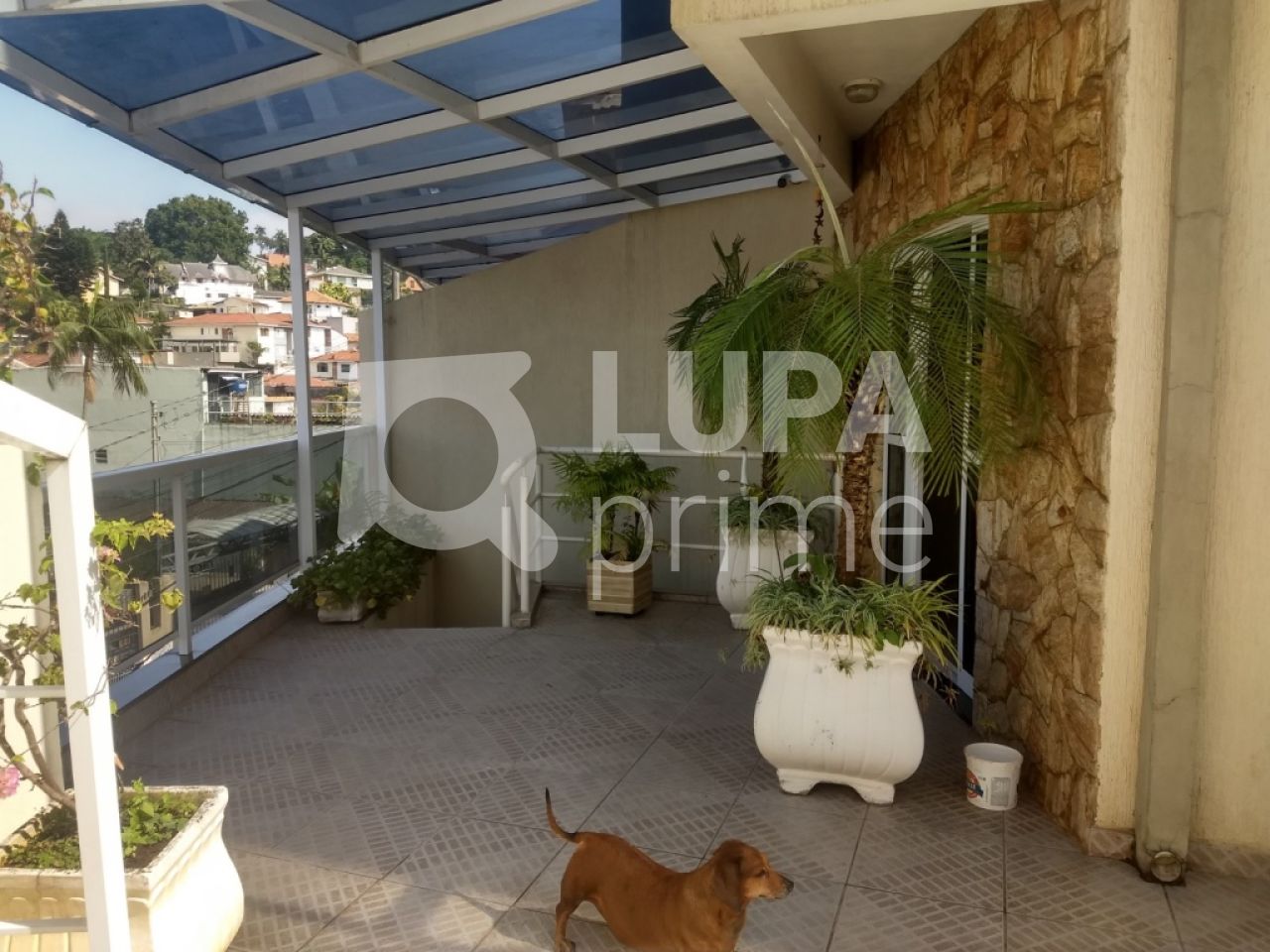 sobrado-venda-sao-paulo-horto-florestal-3dormitorios-1suite-2vagas-300m2-LS28768