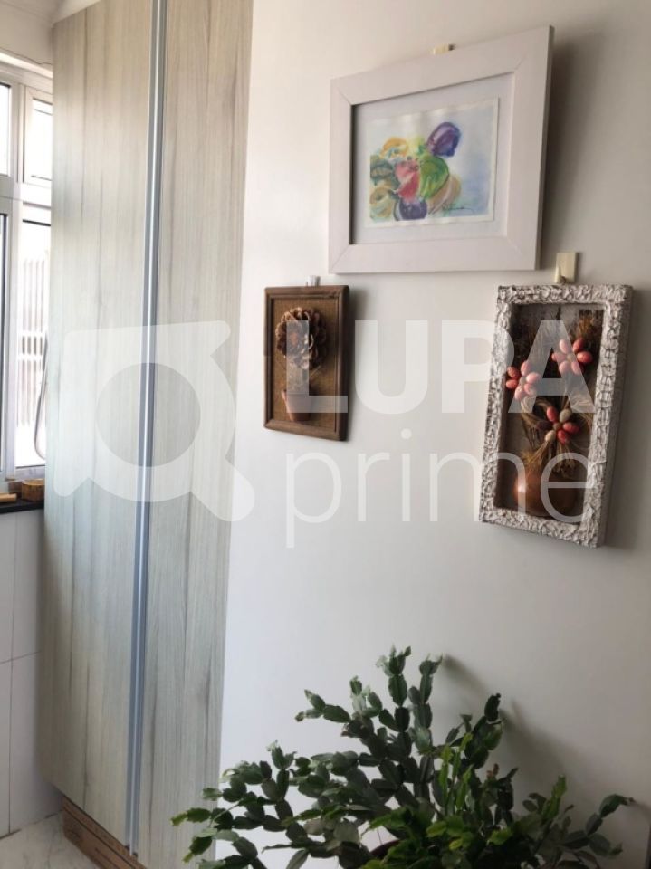 apartamento-venda-sao-paulo-parque-mandaqui-2dormitorios-1vaga-63m2-LS28950