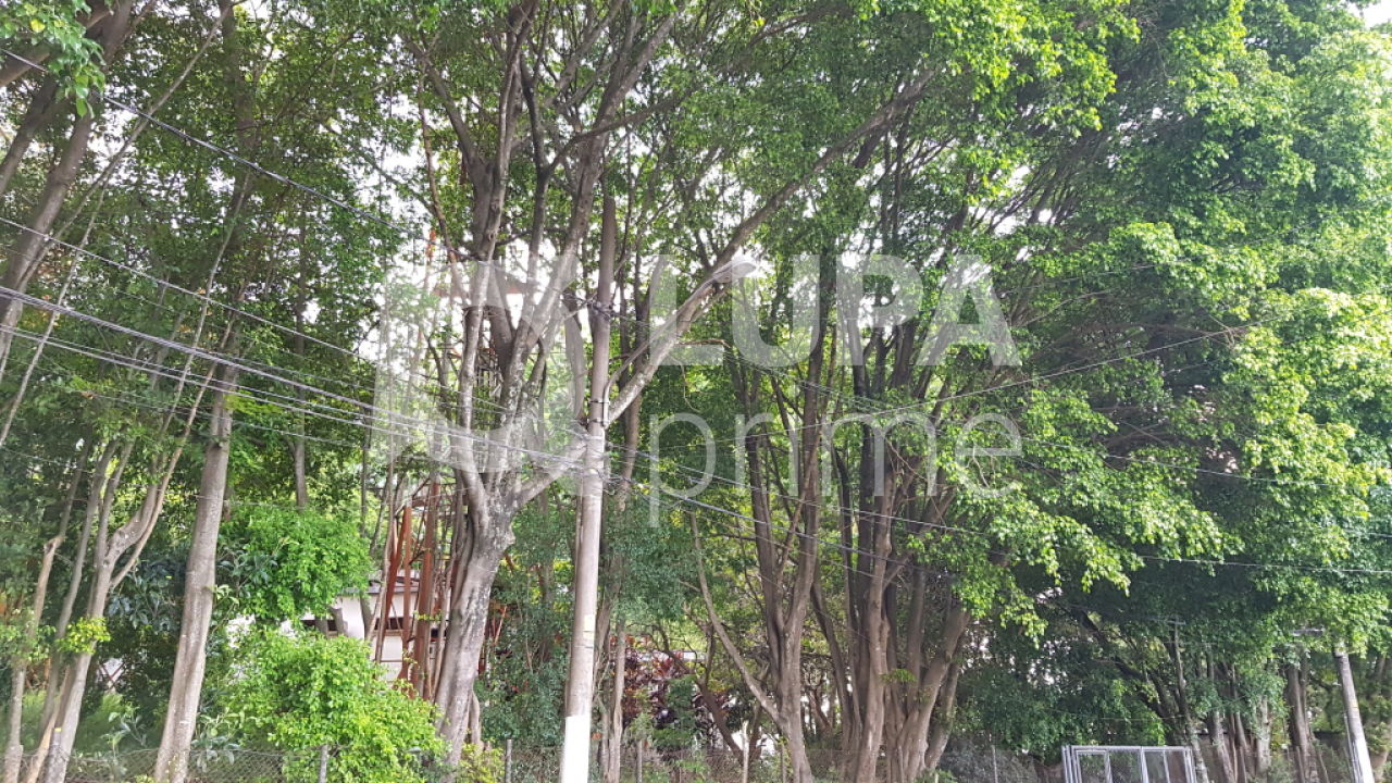 terreno-venda-sao-paulo-tucuruvi-LS28966