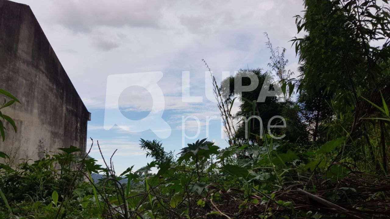 terreno-venda-sao-paulo-tucuruvi-LS28966