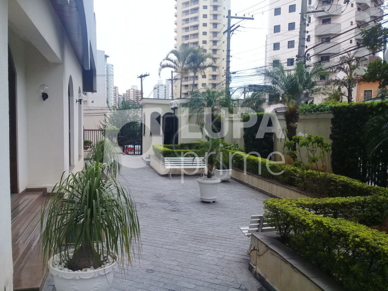 apartamento-locacao-sao-paulo-jardim-sao-paulo-3dormitorios-1suite-2vagas-120m2-LS29151