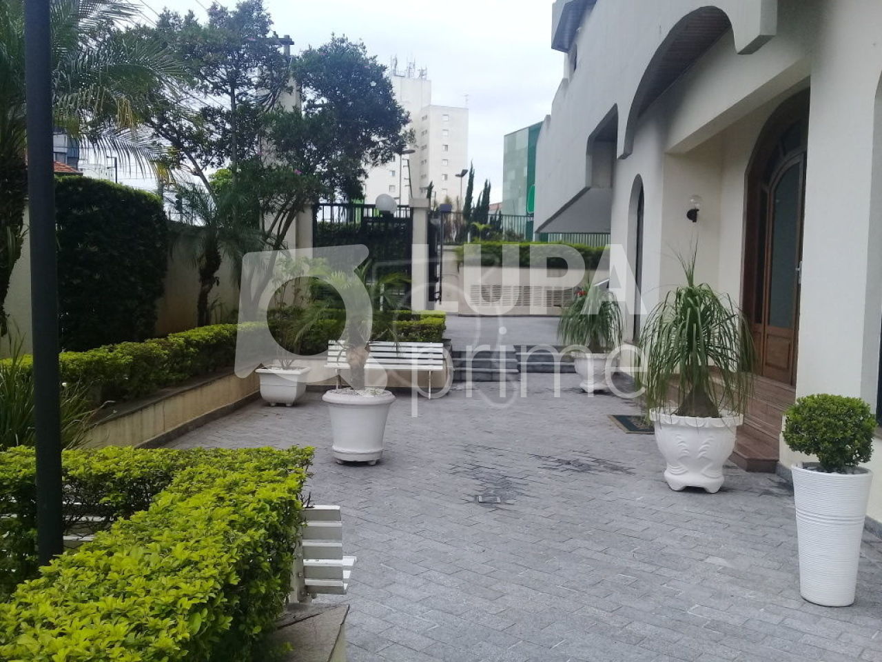 apartamento-locacao-sao-paulo-jardim-sao-paulo-3dormitorios-1suite-2vagas-120m2-LS29151