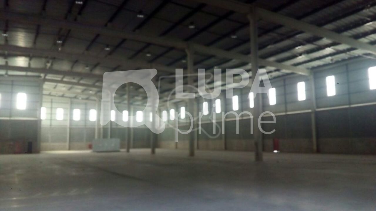 Depósito-Galpão, 6580 m² - Foto 6