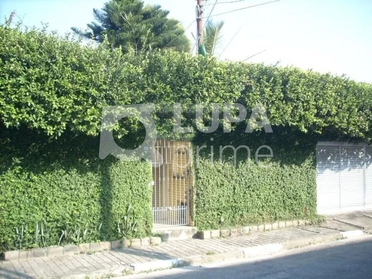 terreno-venda-sao-paulo-vila-germinal-900m2-LS29202