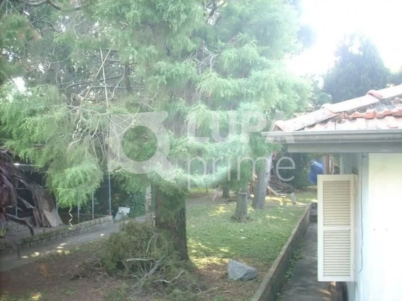 terreno-venda-sao-paulo-vila-germinal-900m2-LS29202