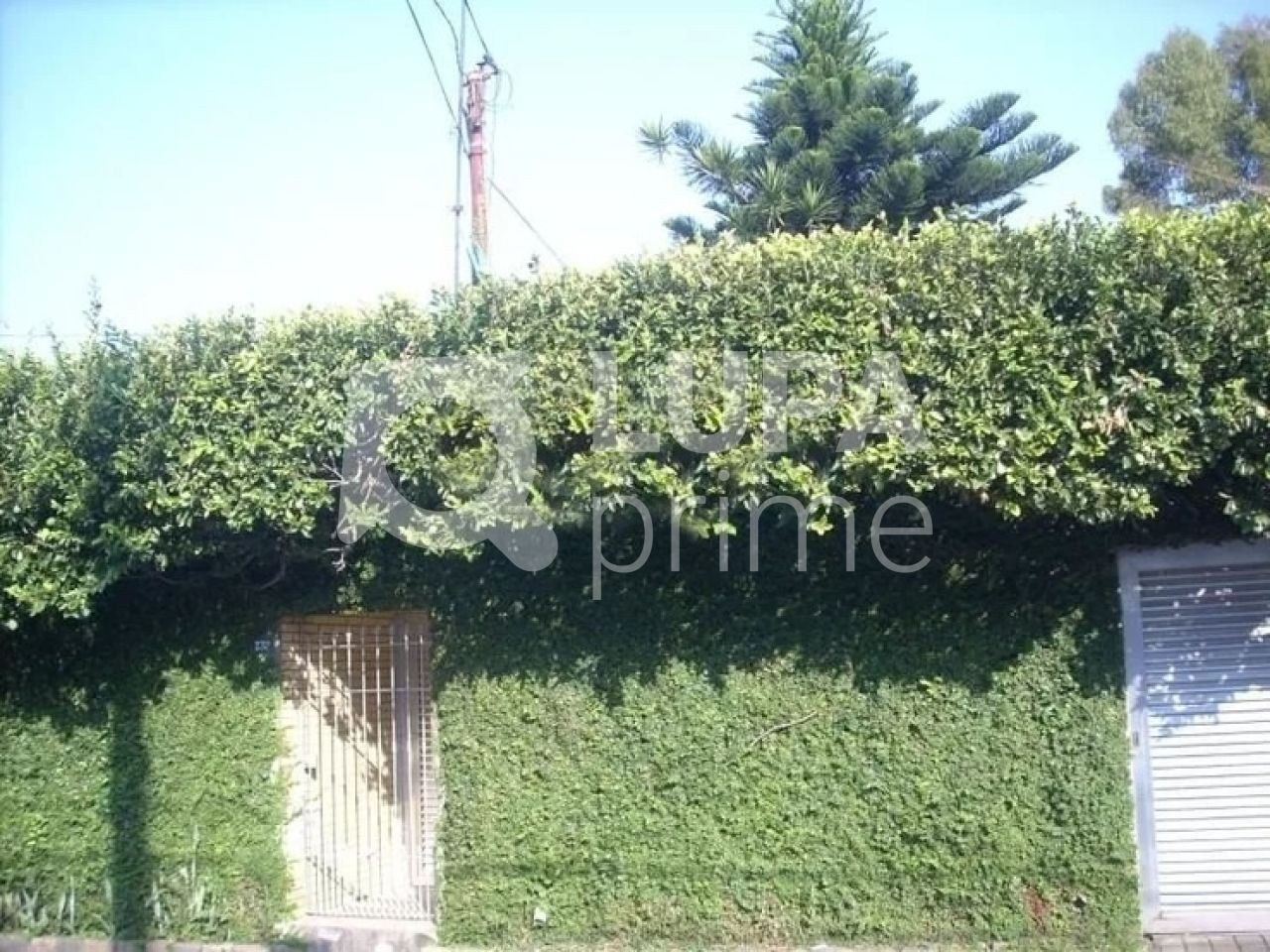 terreno-venda-sao-paulo-vila-germinal-900m2-LS29202