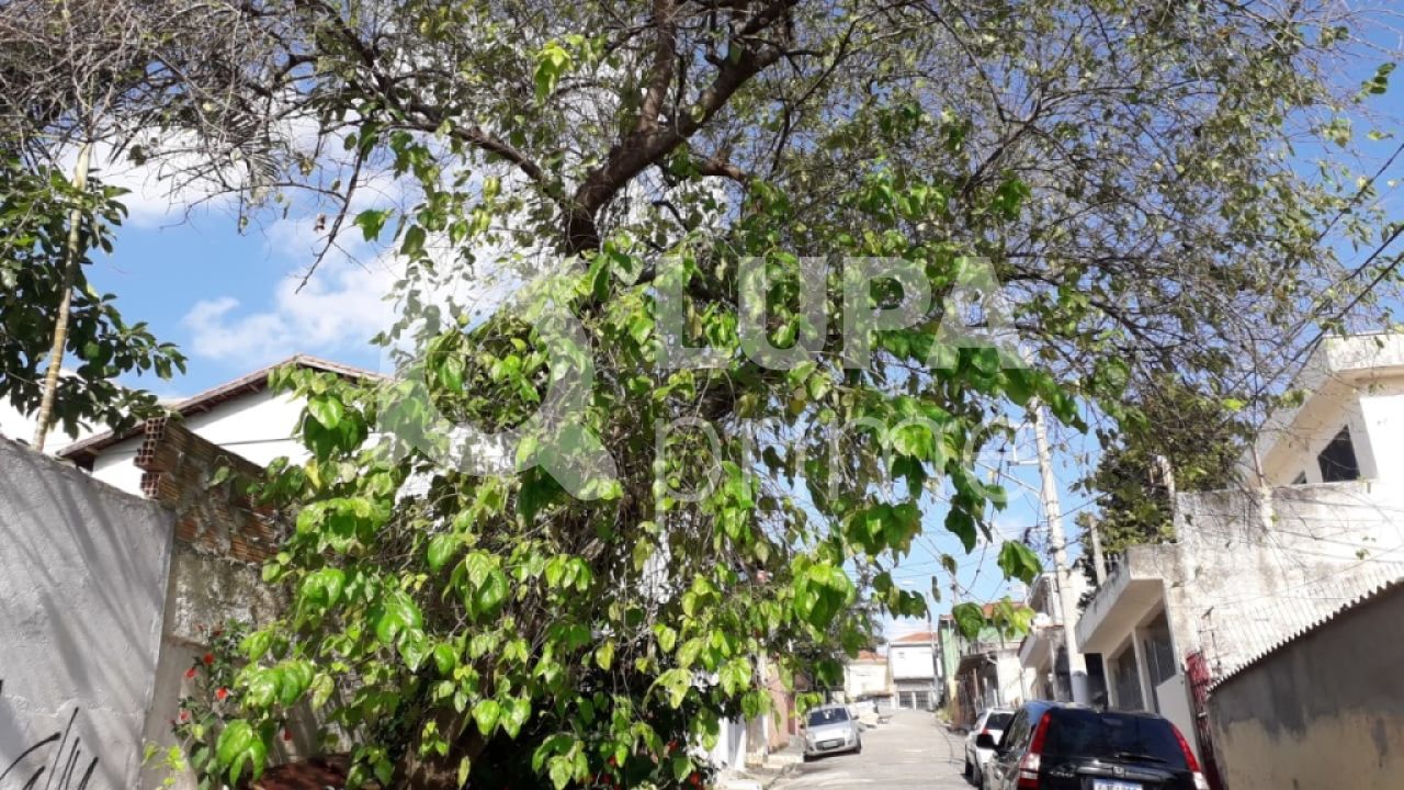 terreno-venda-sao-paulo-vila-medeiros-950m2-LS29224