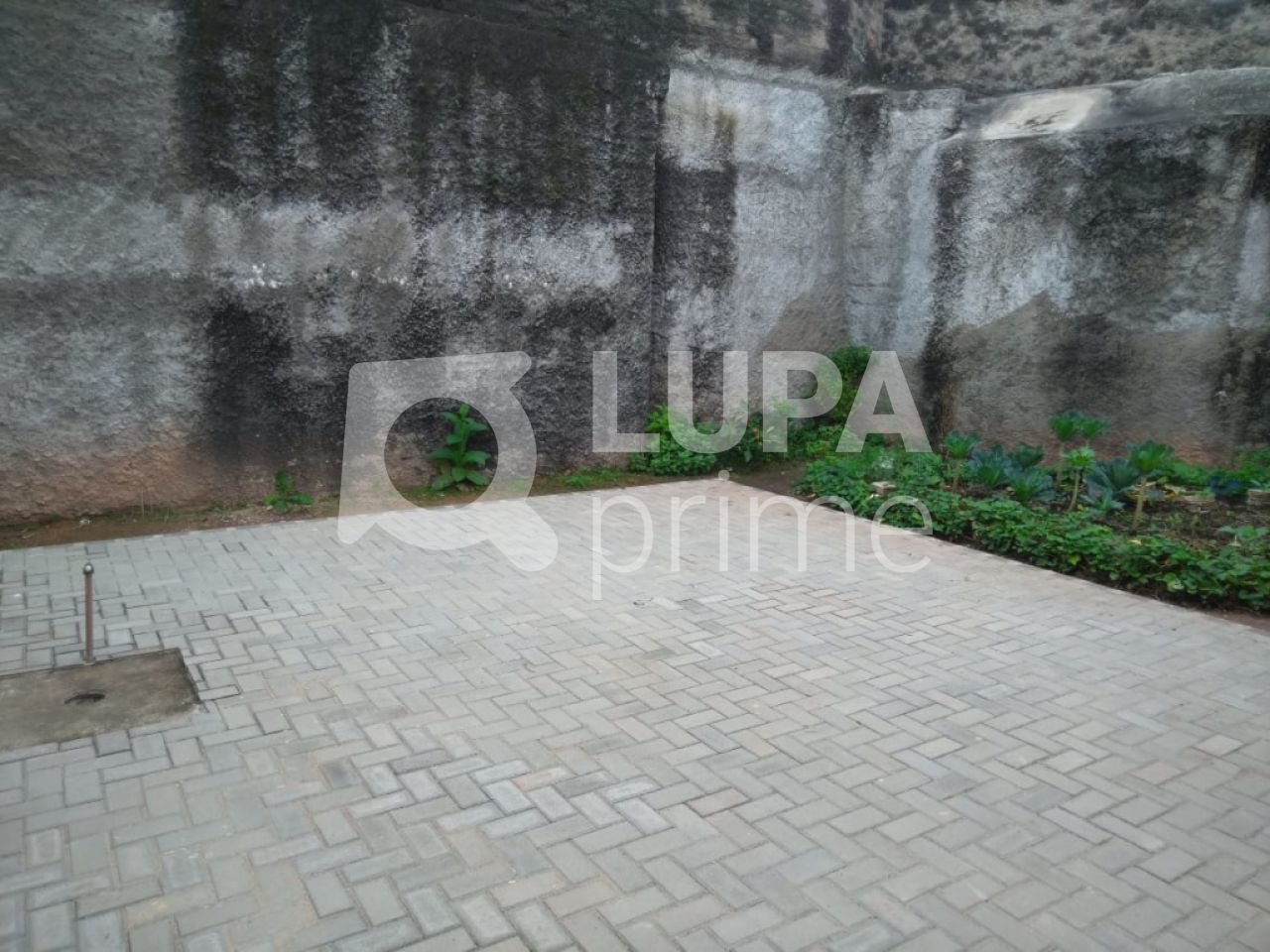 loja-locacao-sao-paulo-santana-525m2-LS29316