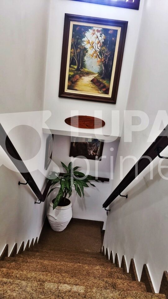 condominio-venda-sao-paulo-horto-florestal-3dormitorios-1suite-3vagas-142m2-LS29330