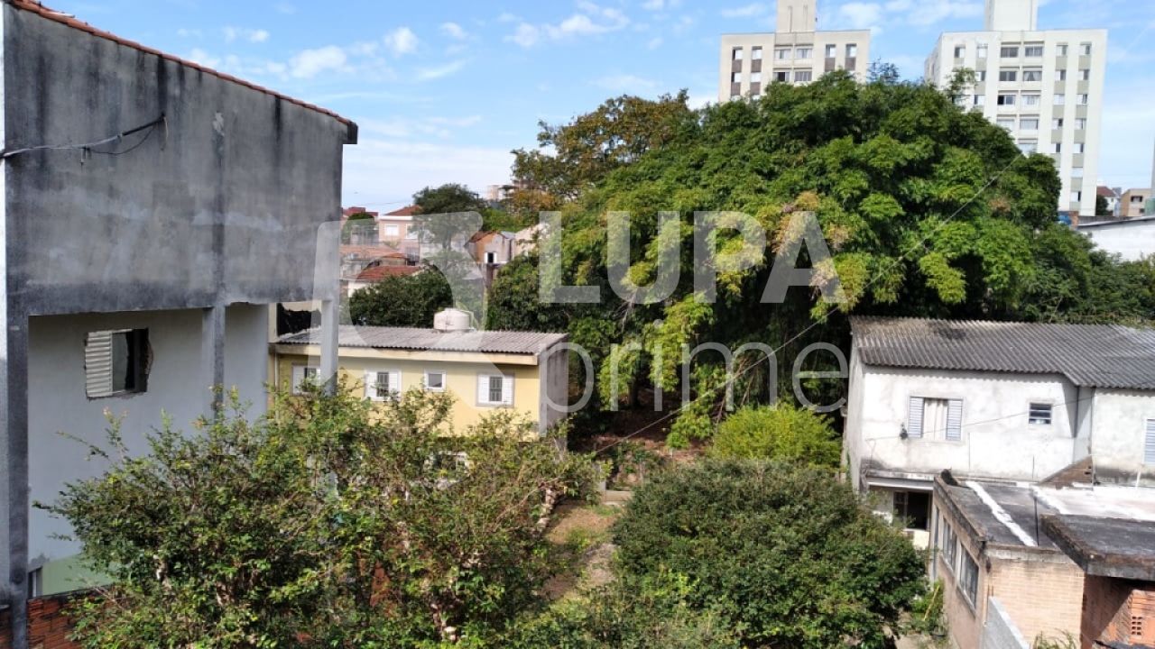 terreno-venda-sao-paulo-vila-gustavo-LS29336