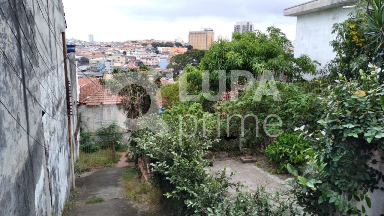 terreno-venda-sao-paulo-vila-constanca-jose-carlos-LS29419