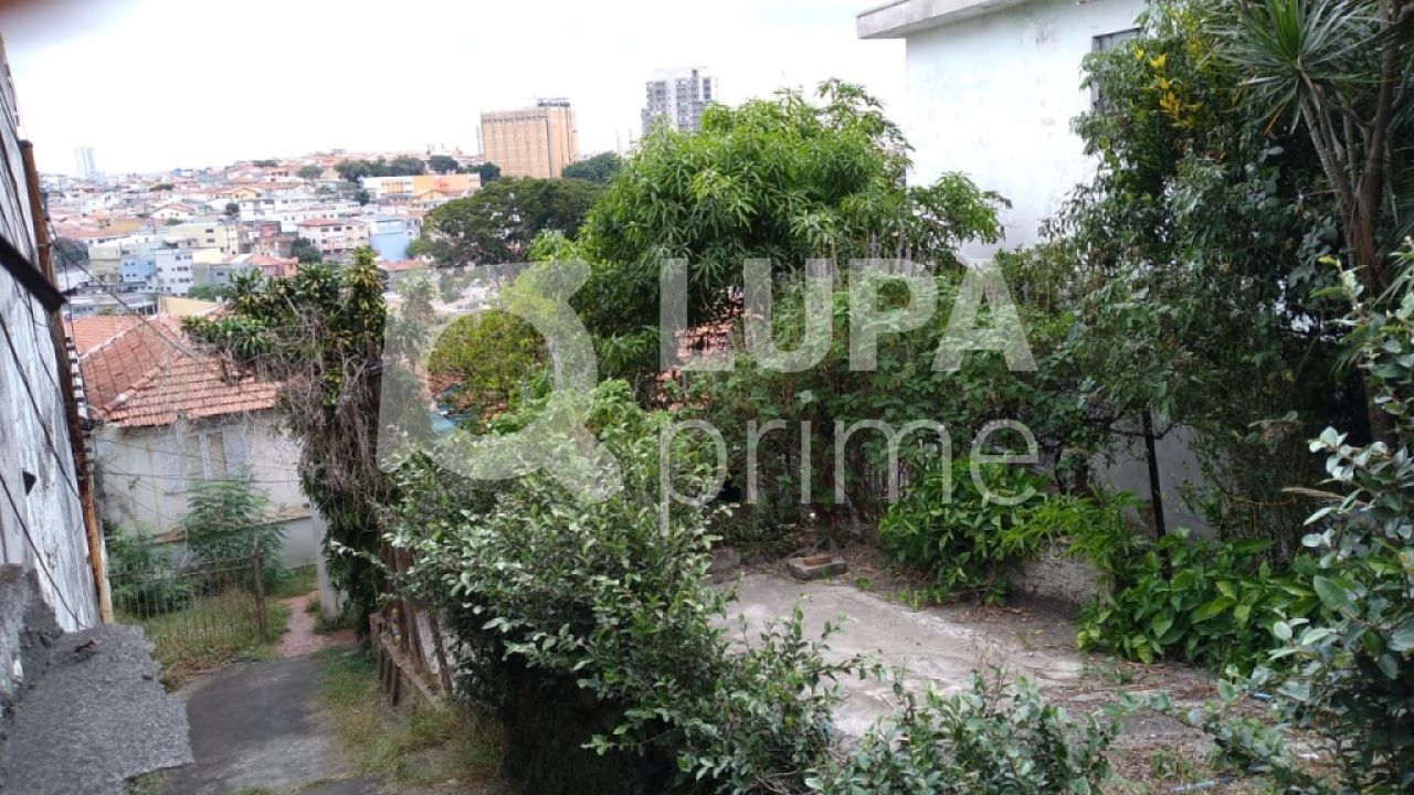 terreno-venda-sao-paulo-vila-constanca-jose-carlos-LS29419