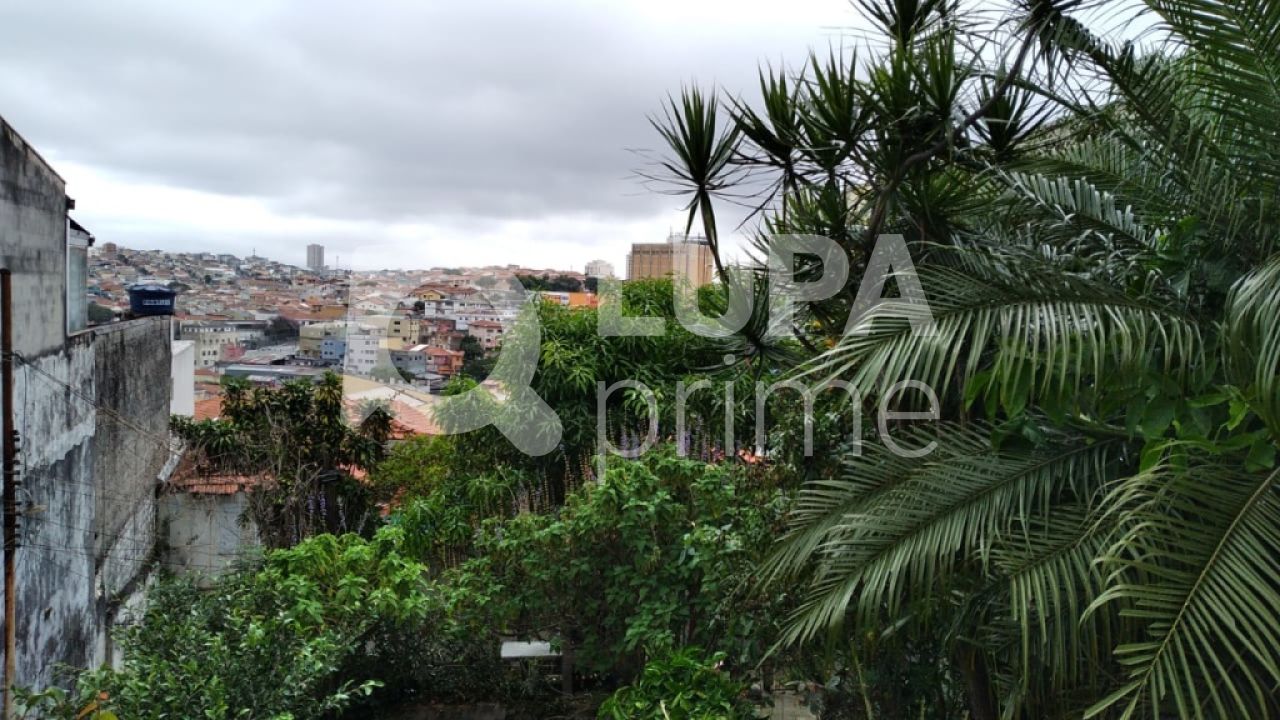 terreno-venda-sao-paulo-vila-constanca-jose-carlos-LS29419