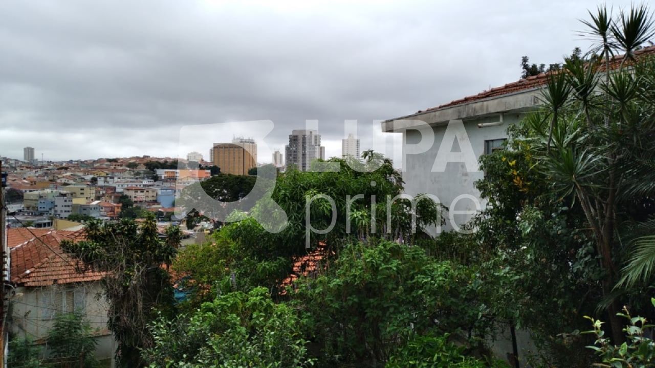 terreno-venda-sao-paulo-vila-constanca-jose-carlos-LS29419