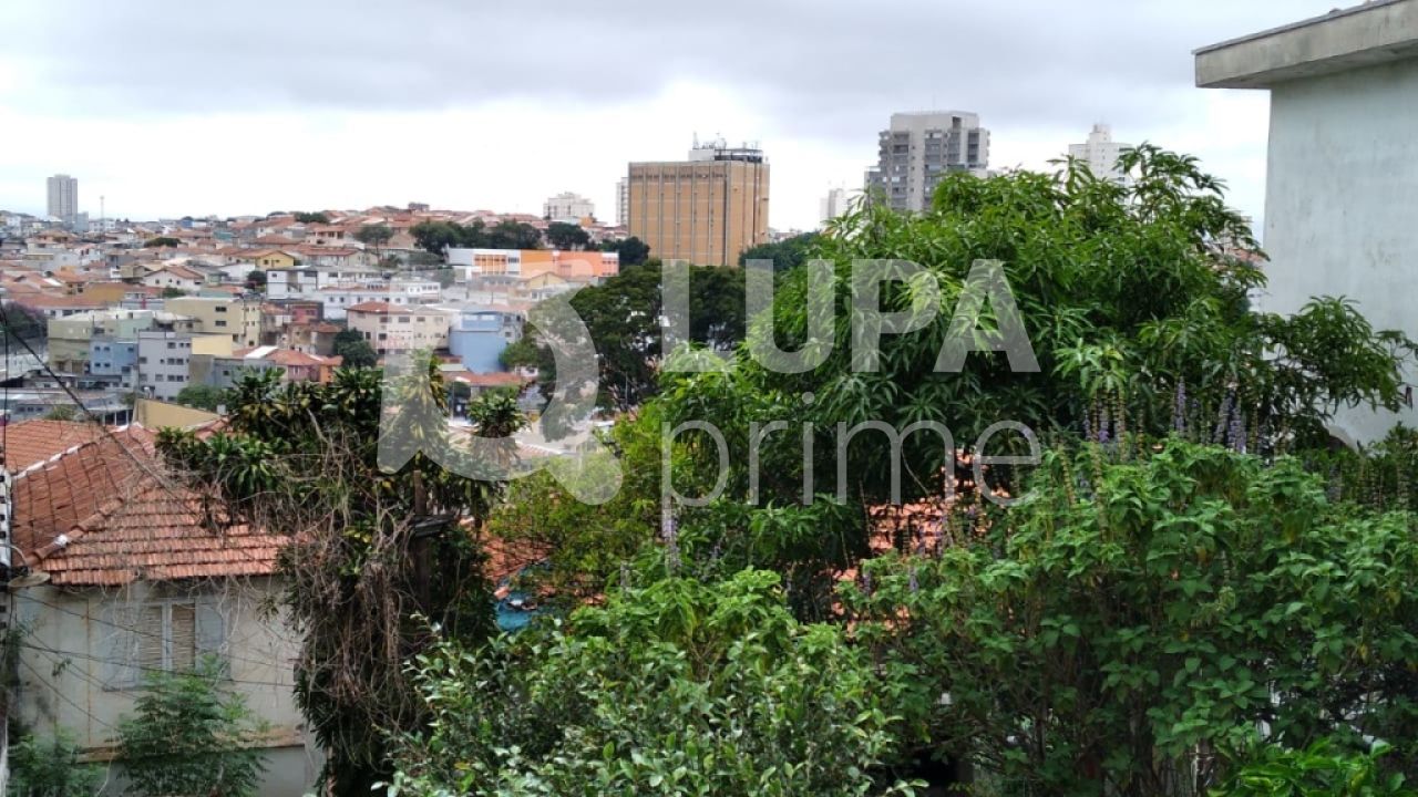 terreno-venda-sao-paulo-vila-constanca-jose-carlos-LS29419