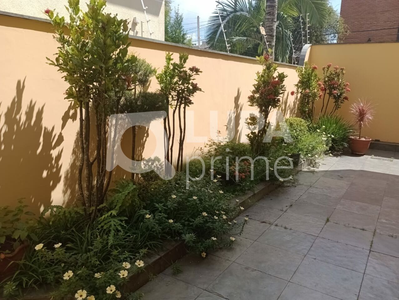 sobrado-locacao-sao-paulo-barro-branco-4dormitorios-4suites-8vagas-470m2-LS29432