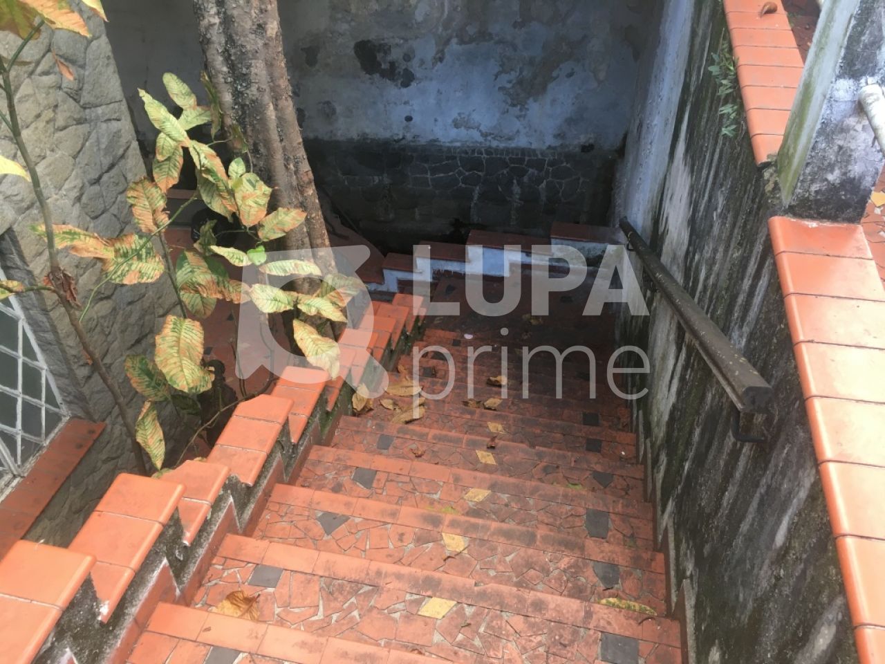 casa-terrea-venda-sao-paulo-jardim-sao-paulo-3dormitorios-1vaga-210m2-LS29721