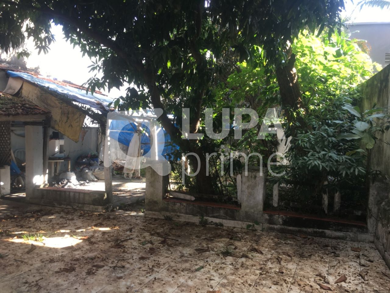 casa-terrea-venda-sao-paulo-jardim-sao-paulo-3dormitorios-1vaga-210m2-LS29721