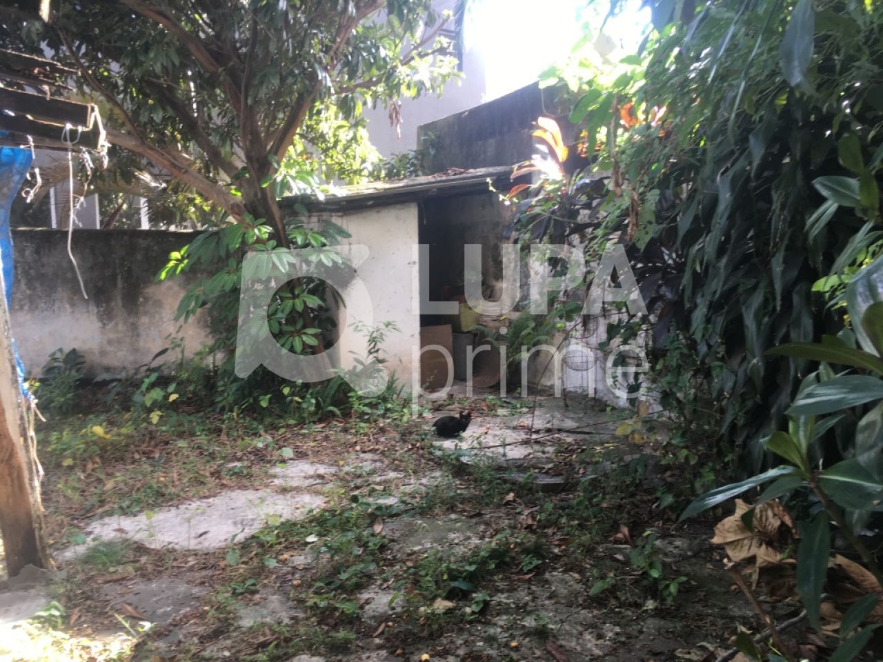 casa-terrea-venda-sao-paulo-jardim-sao-paulo-3dormitorios-1vaga-210m2-LS29721