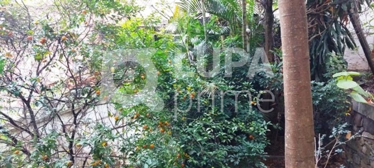 terreno-venda-sao-paulo-tucuruvi-LS29736