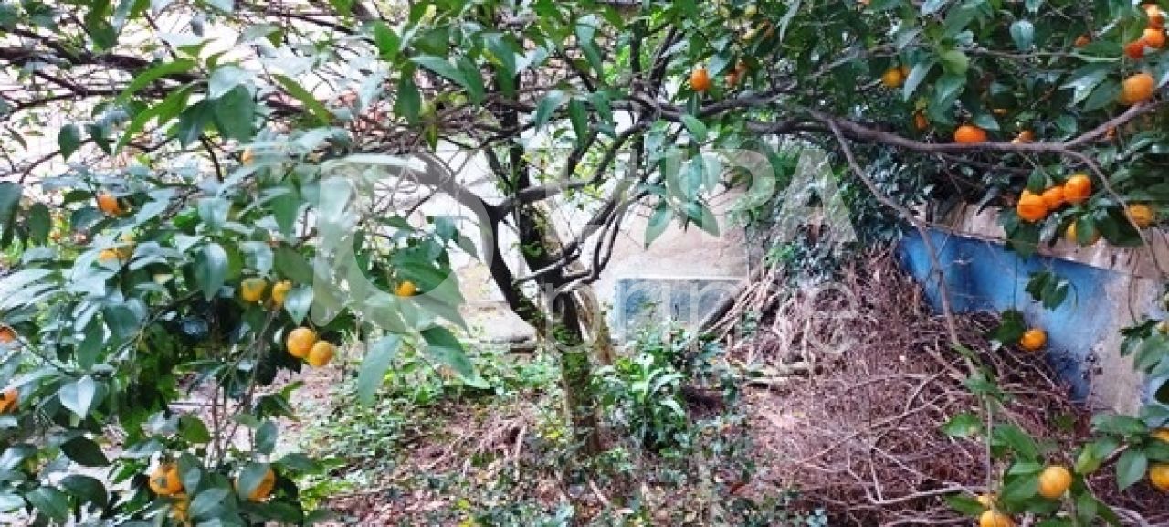 terreno-venda-sao-paulo-tucuruvi-LS29740