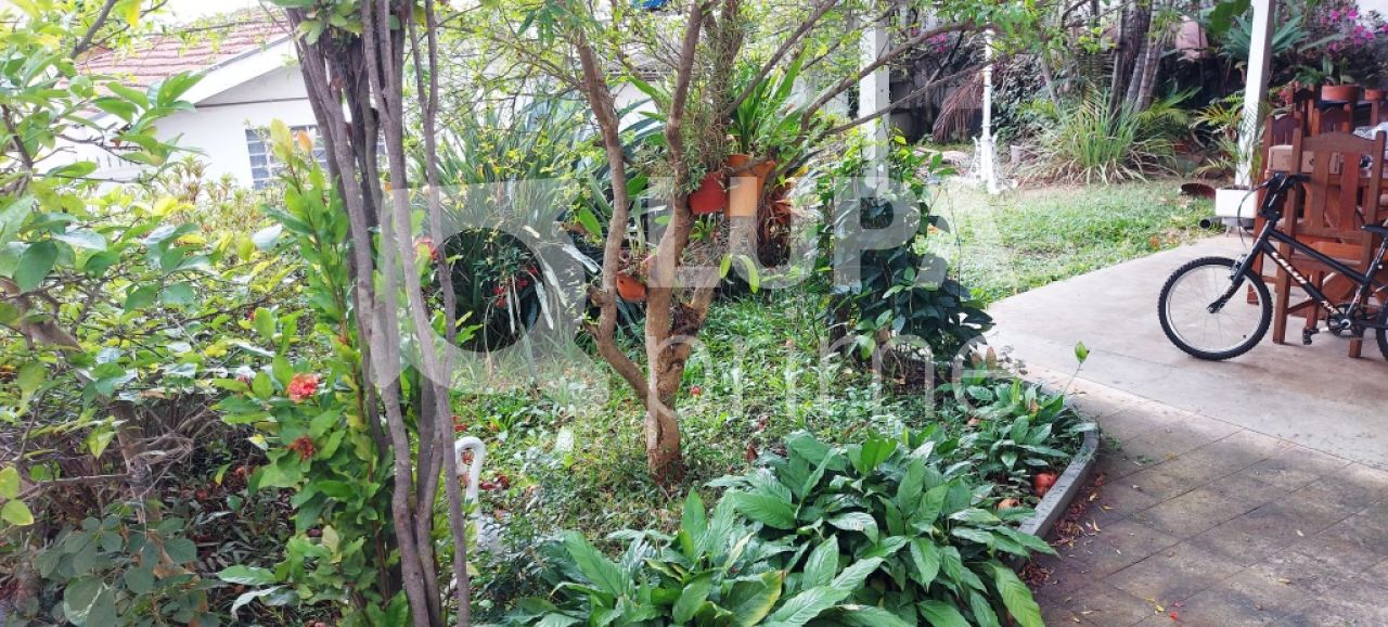 terreno-venda-sao-paulo-tucuruvi-LS29740