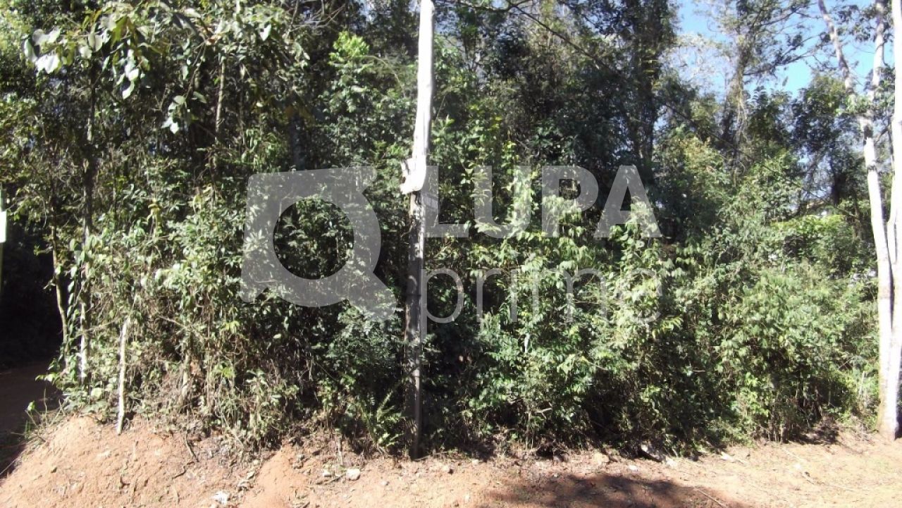 Terreno, 1194 m² - Foto 17