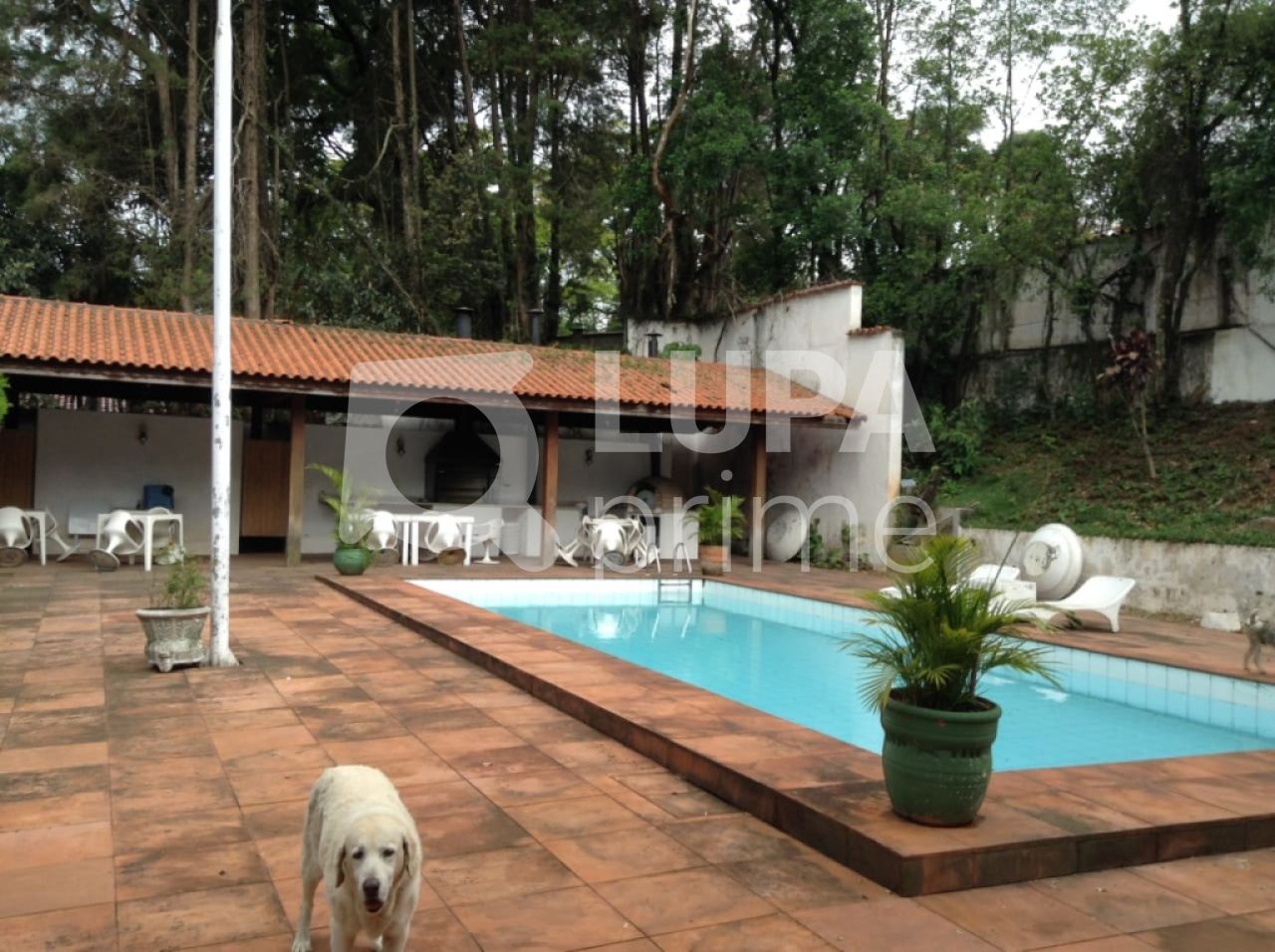 Terreno, 5500 m² - Foto 16