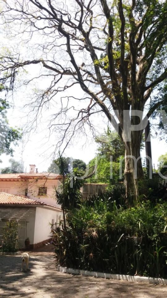 Terreno, 5500 m² - Foto 21