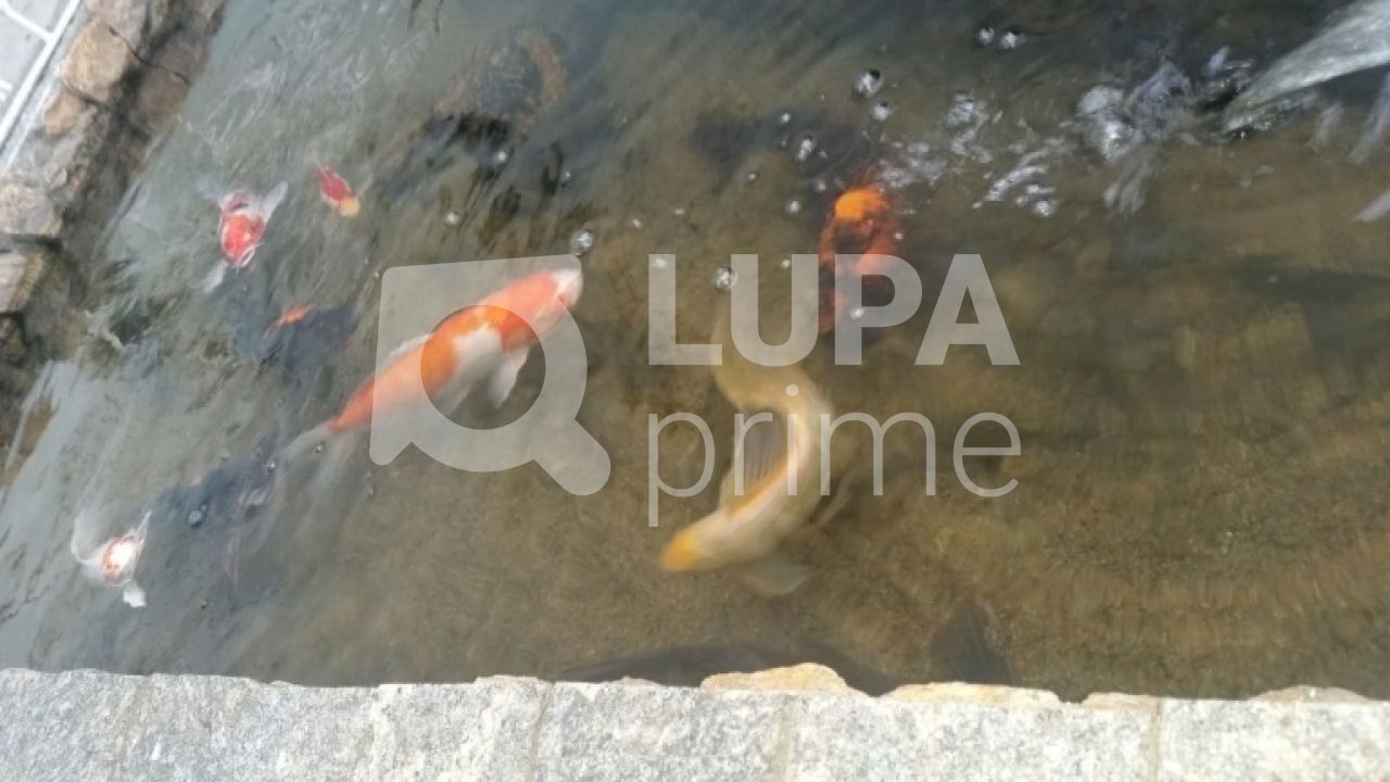 apartamento-venda-sao-paulo-vila-matilde-4dormitorios-1suite-1vaga-144m2-LS29911