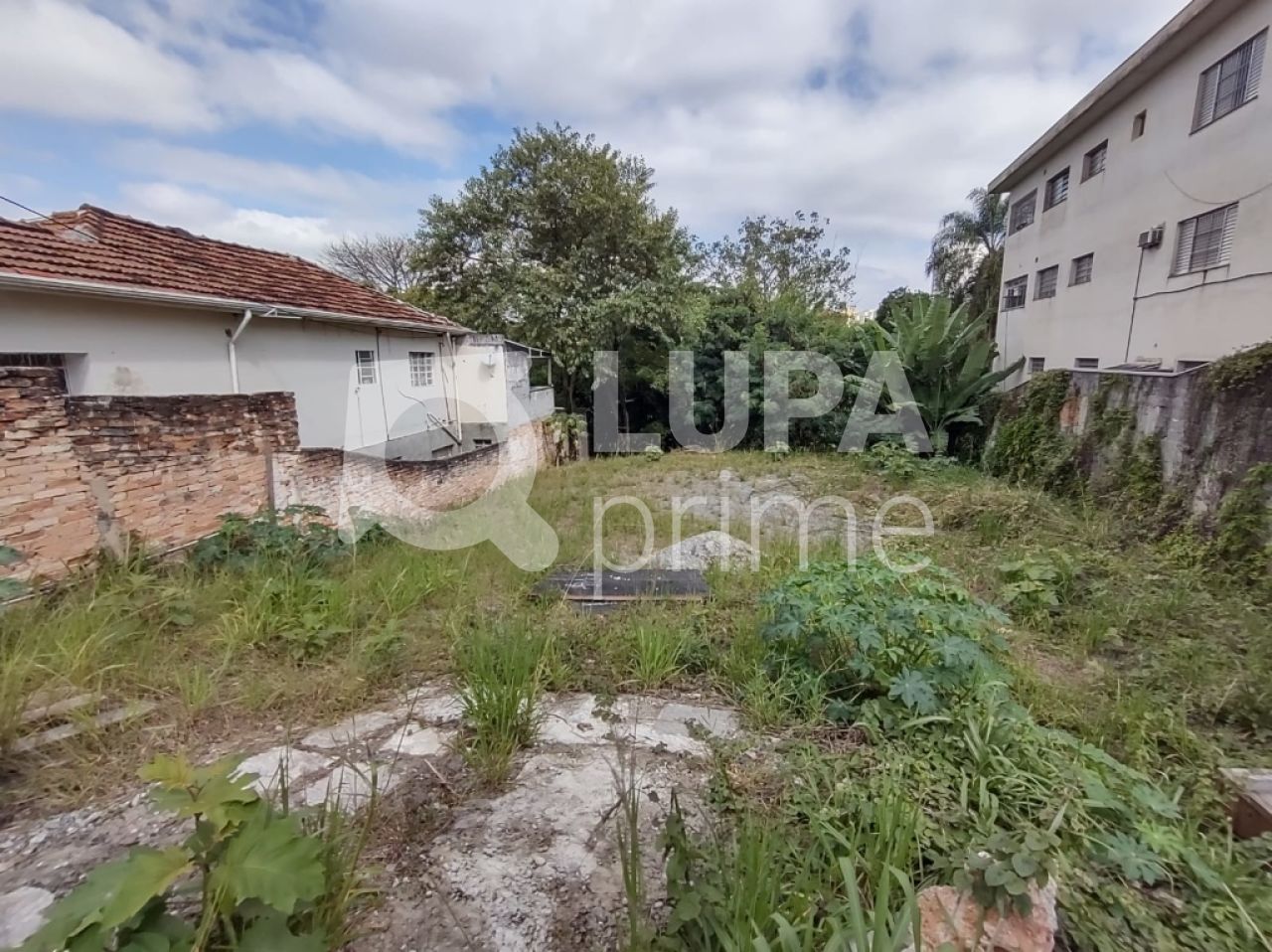 terreno-venda-sao-paulo-tucuruvi-LS29915