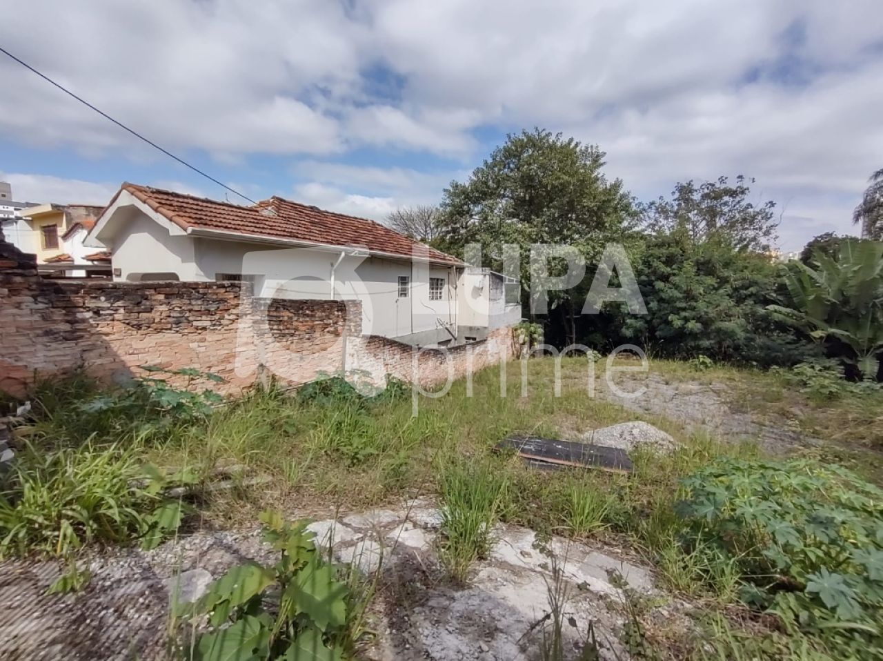 terreno-venda-sao-paulo-tucuruvi-LS29915
