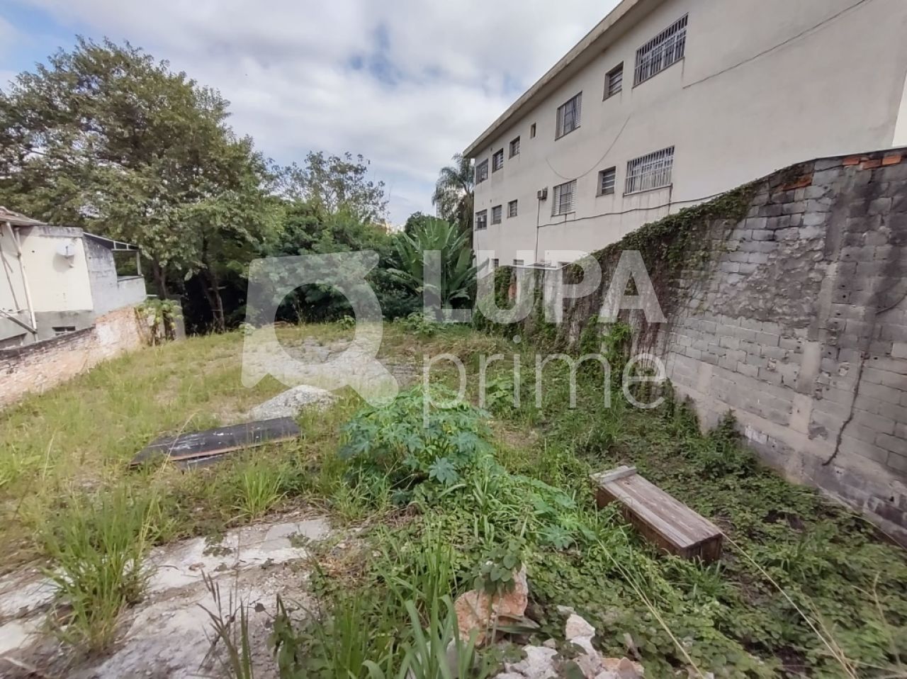 terreno-venda-sao-paulo-tucuruvi-LS29915