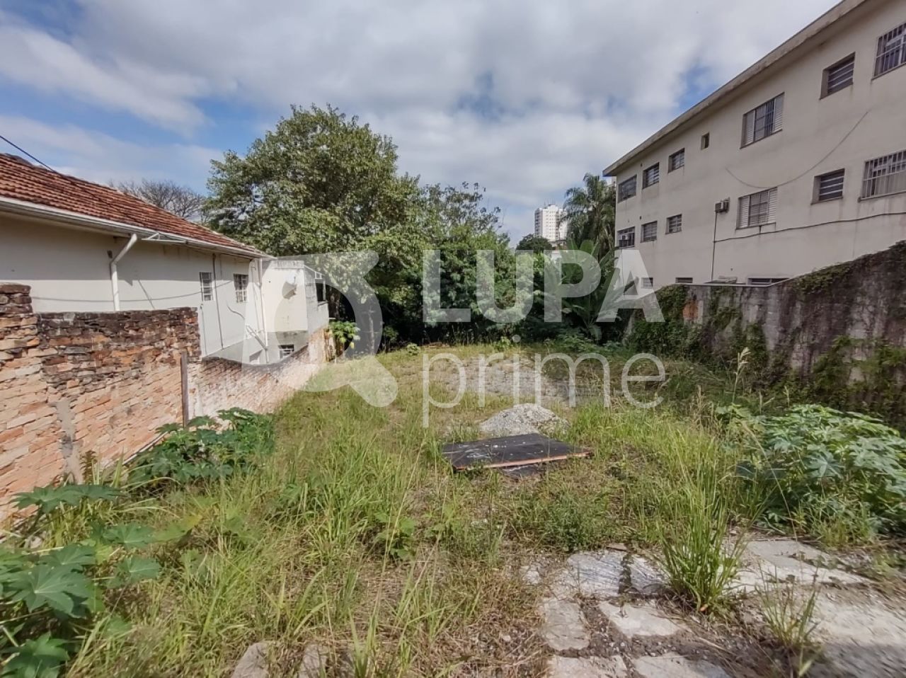 terreno-venda-sao-paulo-tucuruvi-LS29915