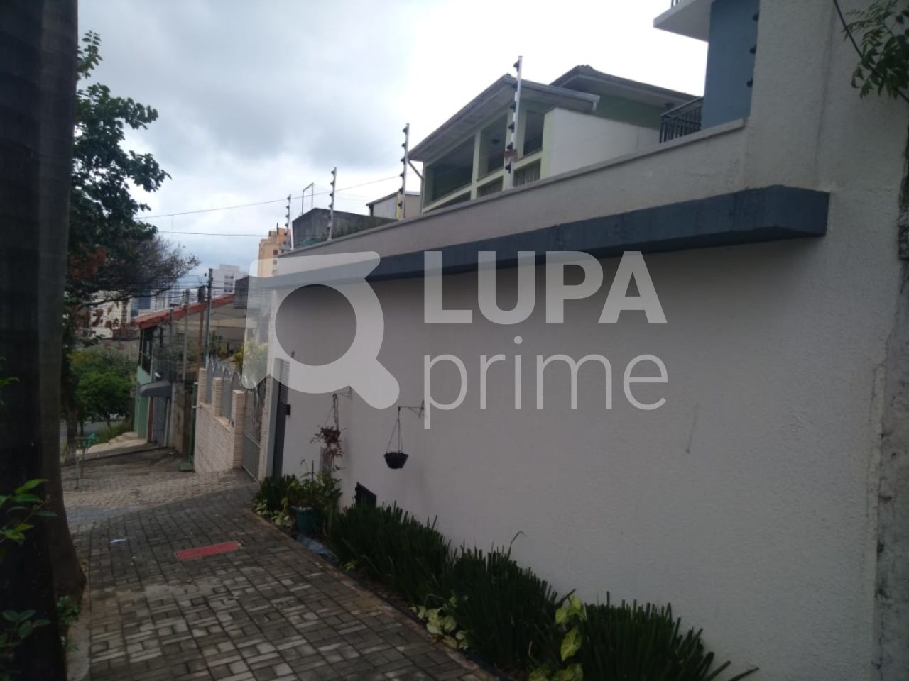 apartamento-venda-sao-paulo-casa-verde-2dormitorios-37m2-LS29918