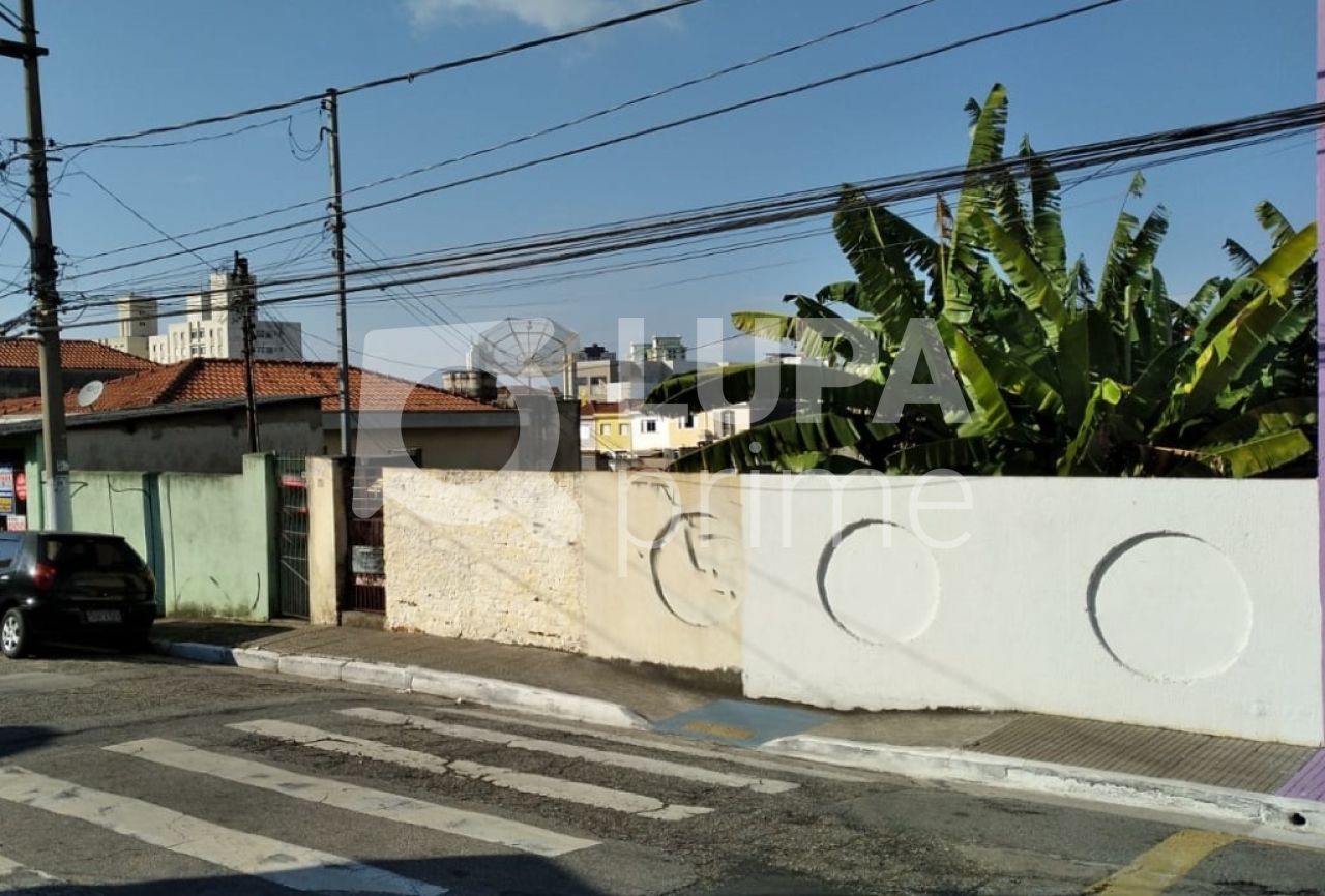 area-venda-sao-paulo-vila-gustavo-LS30068