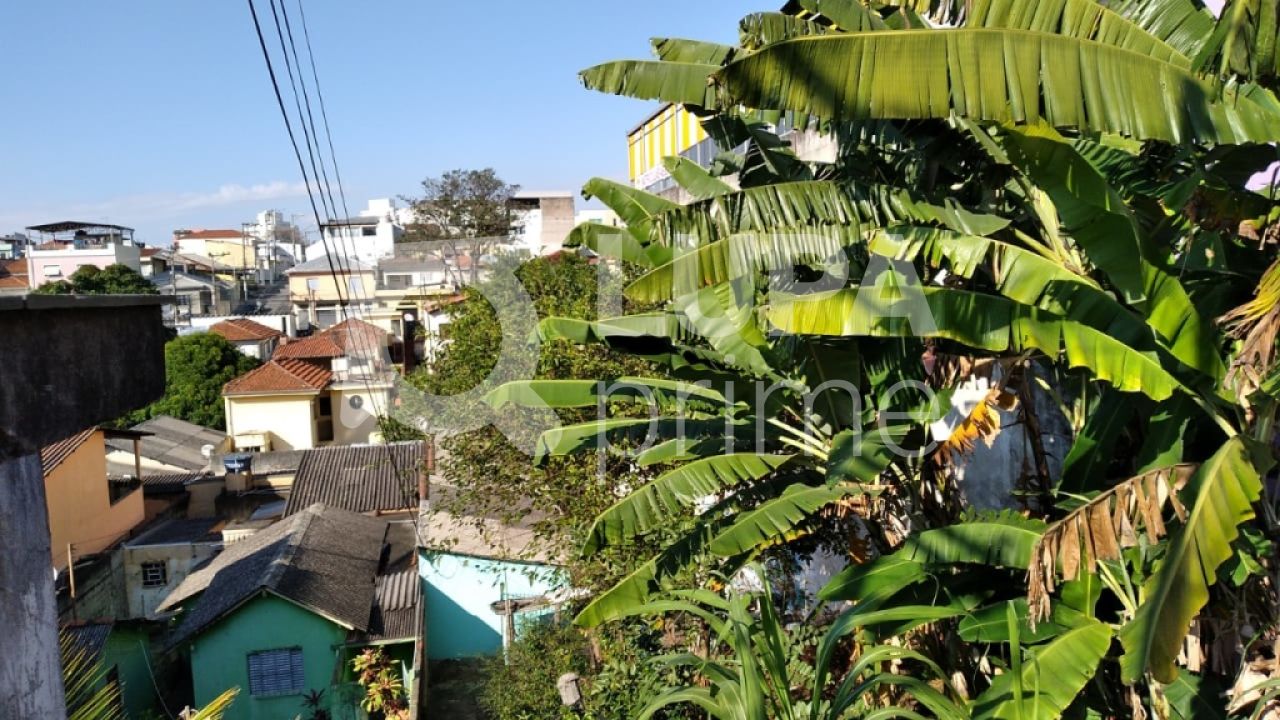 area-venda-sao-paulo-vila-gustavo-LS30068