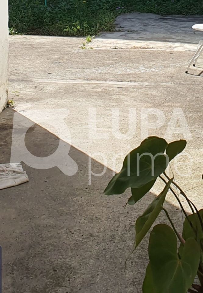 terreno-venda-sao-paulo-vila-constanca-LS30155