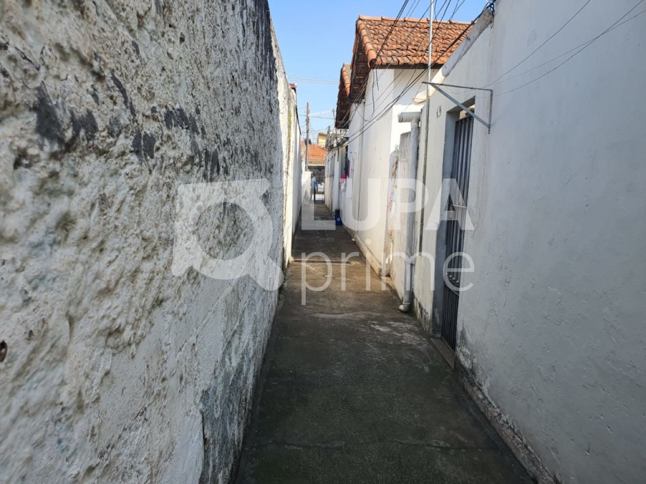 terreno-venda-sao-paulo-vila-constanca-LS30155