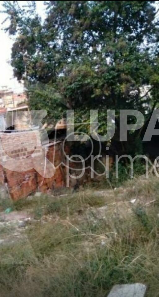 terreno-venda-sao-paulo-vila-medeiros-120m2-LS30161
