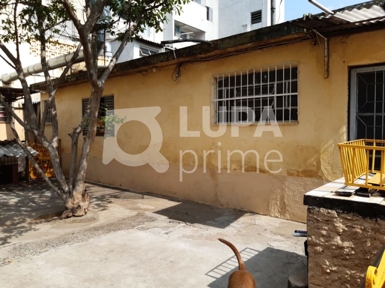 predio-venda-sao-paulo-tucuruvi-4vagas-520m2-LS30164