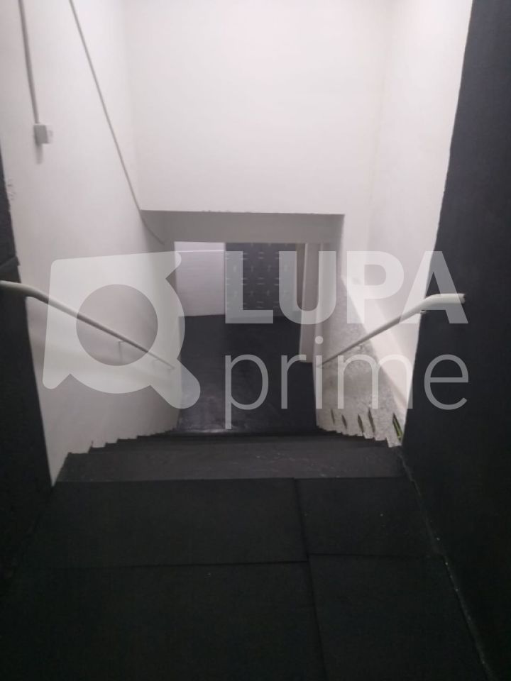 Loja-Salão, 1650 m² - Foto 5