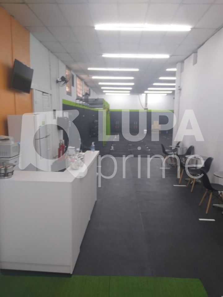 Loja-Salão, 1650 m² - Foto 6