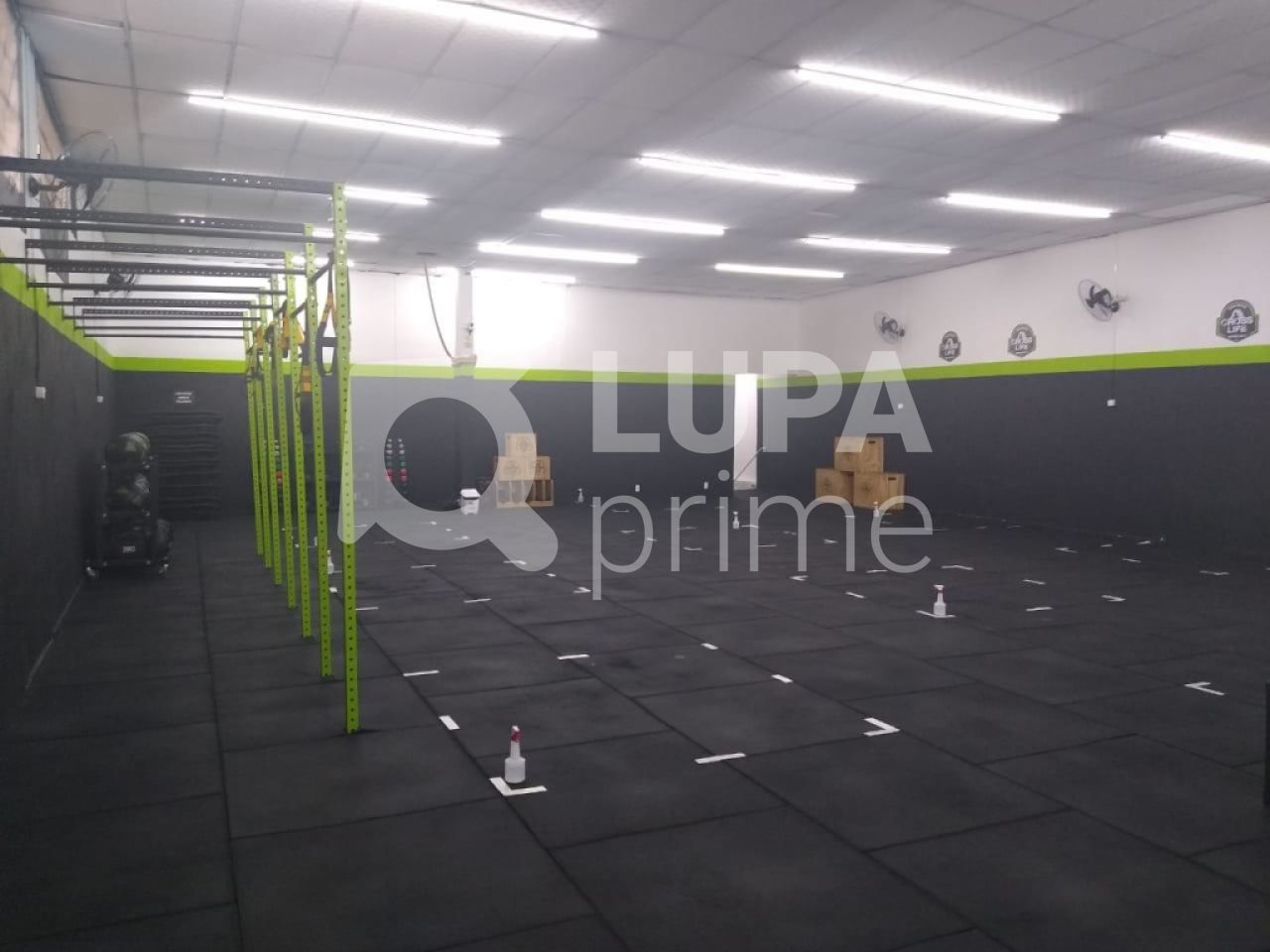 Loja-Salão, 1650 m² - Foto 3