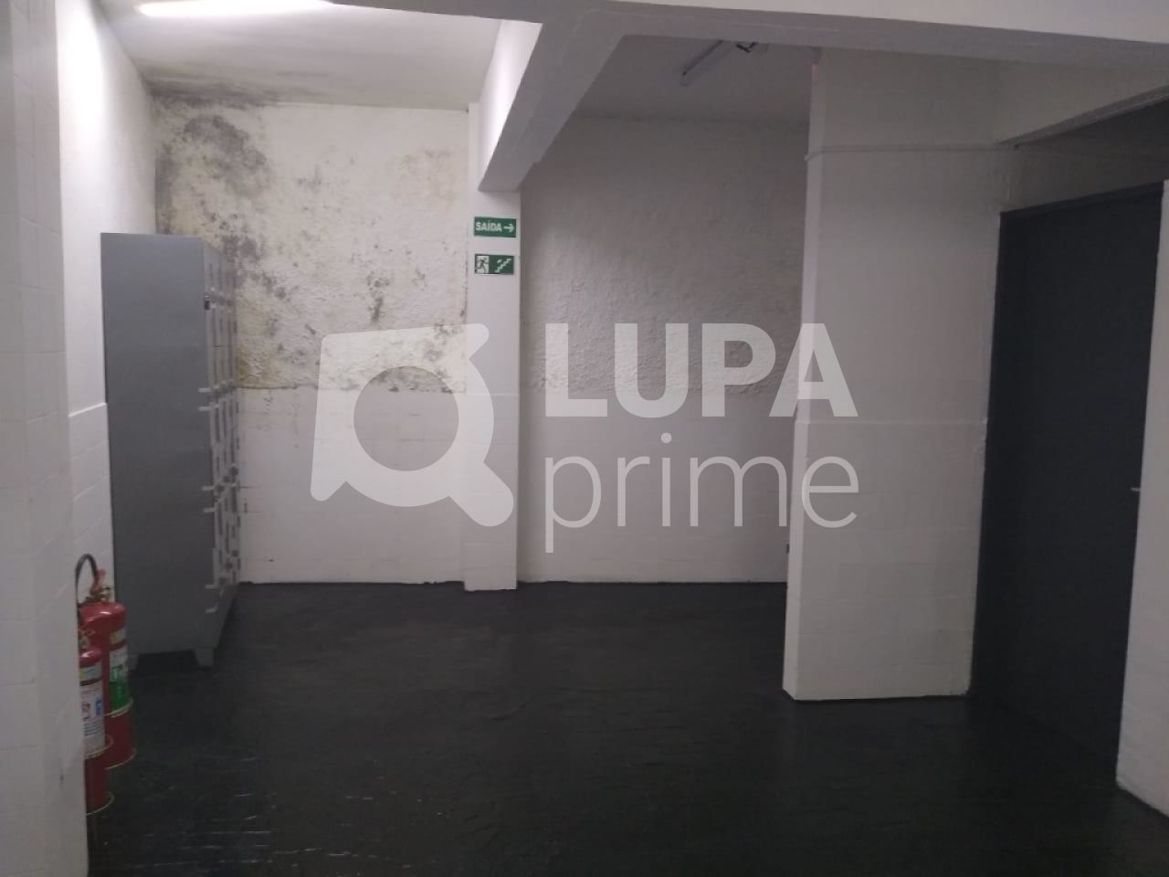 Loja-Salão, 1650 m² - Foto 7