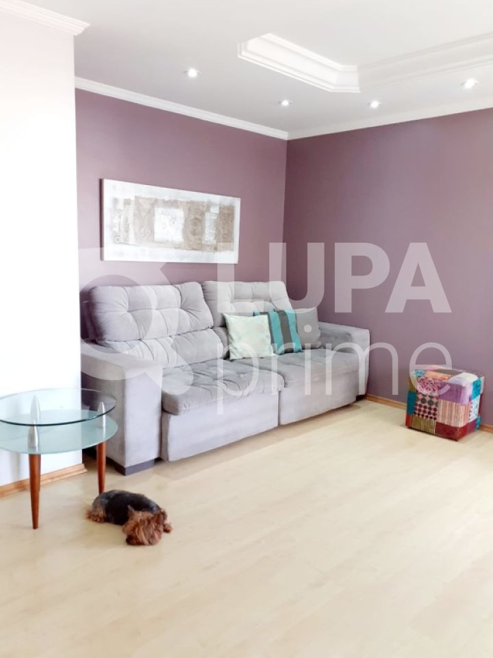 apartamento-venda-sao-paulo-vila-aurora-zona-norte-3dormitorios-1suite-2vagas-160m2-LS30170