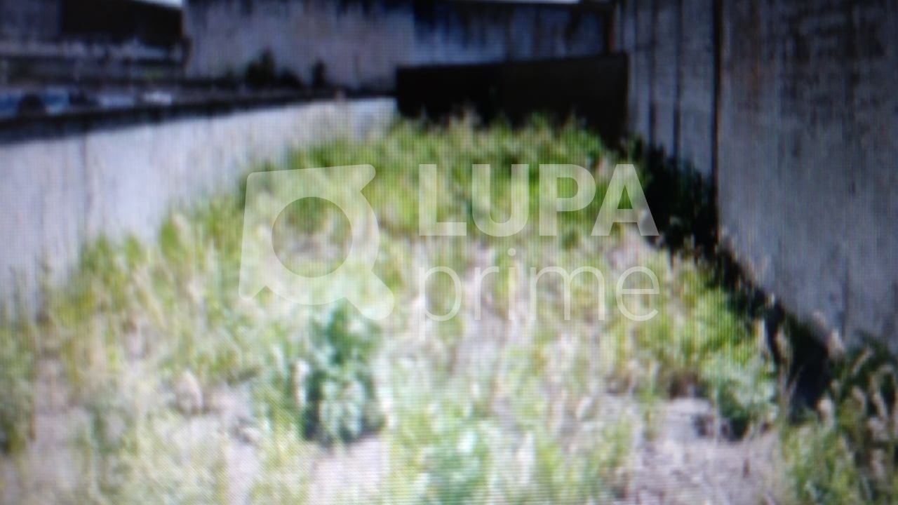 terreno-venda-sao-paulo-jardim-vila-formosa-LS30201