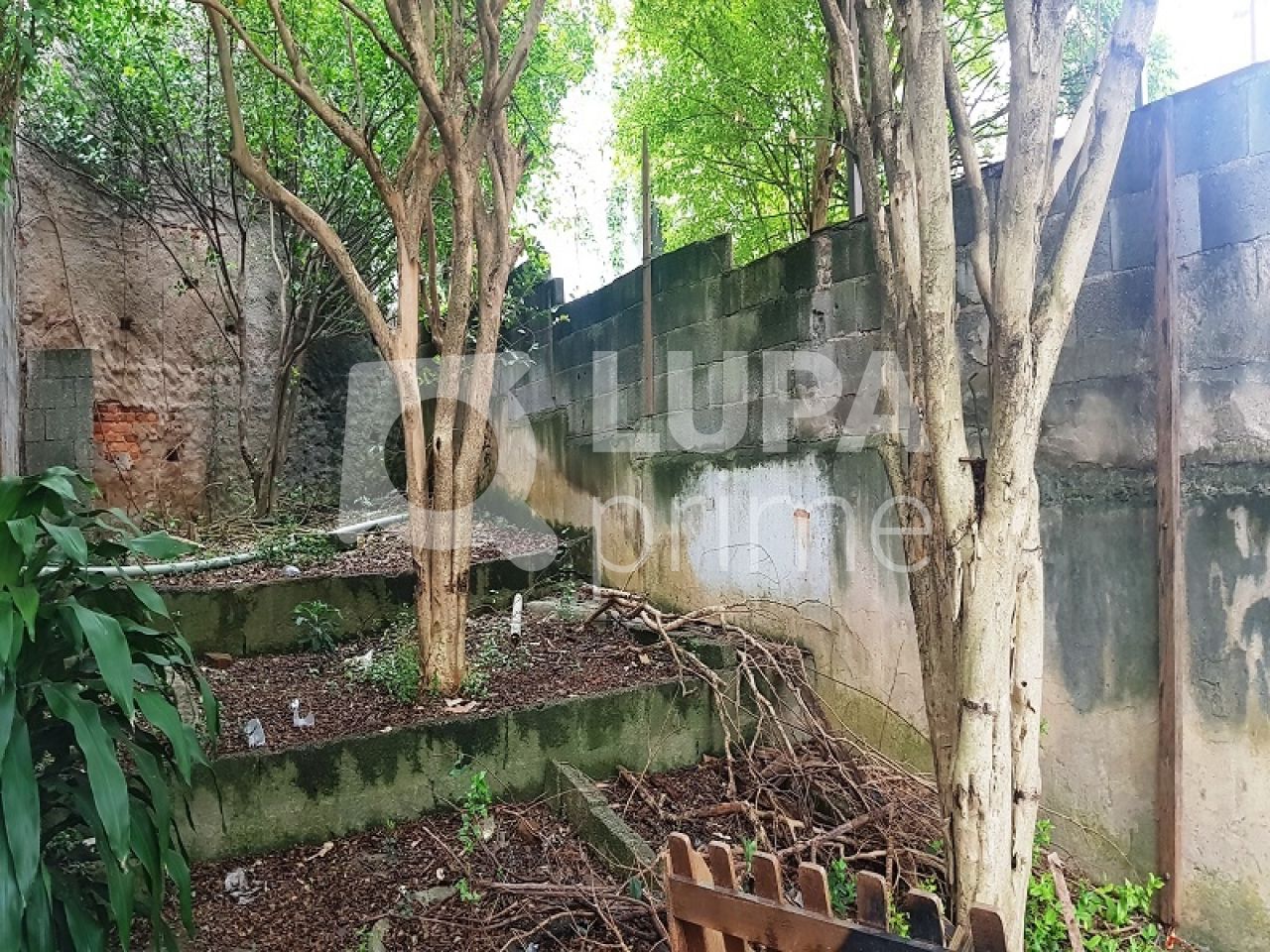 sobrado-venda-sao-paulo-santa-teresinha-3dormitorios-3vagas-243m2-LS30292