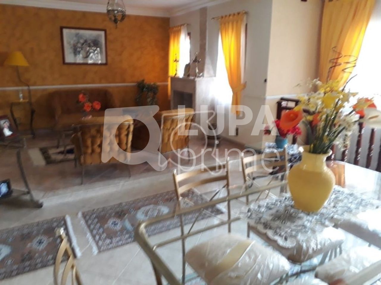 Casa, 3 quartos, 420 m² - Foto 5