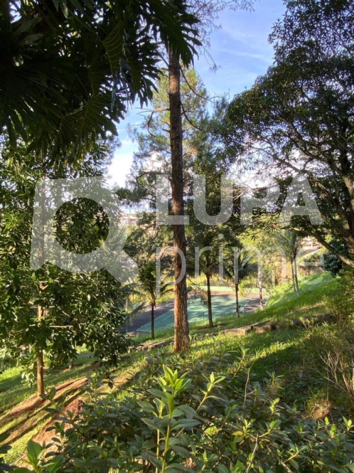 Casa, 4 quartos, 800 m² - Foto 12
